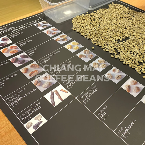 Chiang Mai Coffee Beans Grading SCA Standard