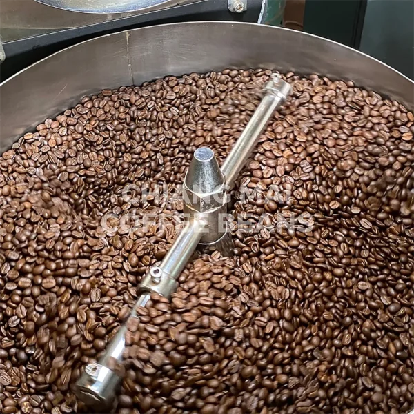 Chiang Mai Coffee Beans Medium roast