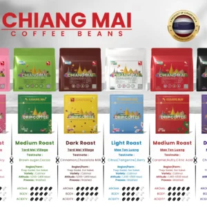 Chiang Mai Coffee Beans Roast Profile Comparison Chart Light Medium Dark Roast